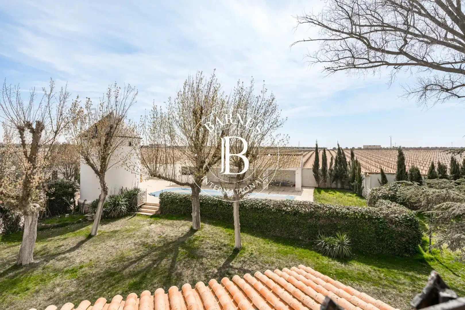 Jardín de Casa o chalet en venta en Alcázar de San Juan con Jardín privado, Piscina y Amueblado