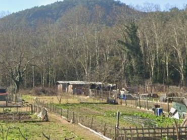 Terreno rustico in affitto a Carretera Sant Hilari