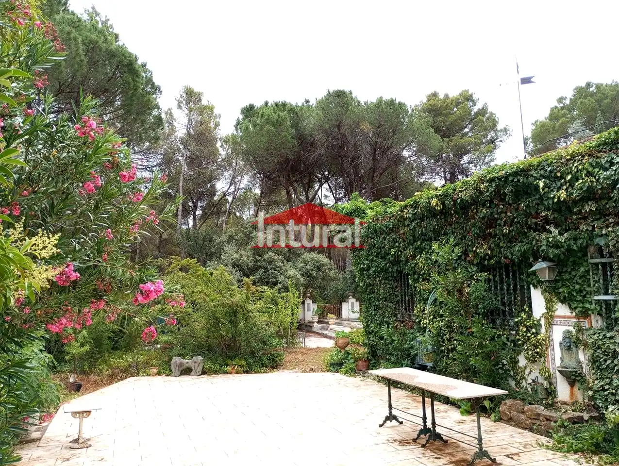 Maison avec piscine à vendre à Urbanización Pinares del Júcar, imagen 3