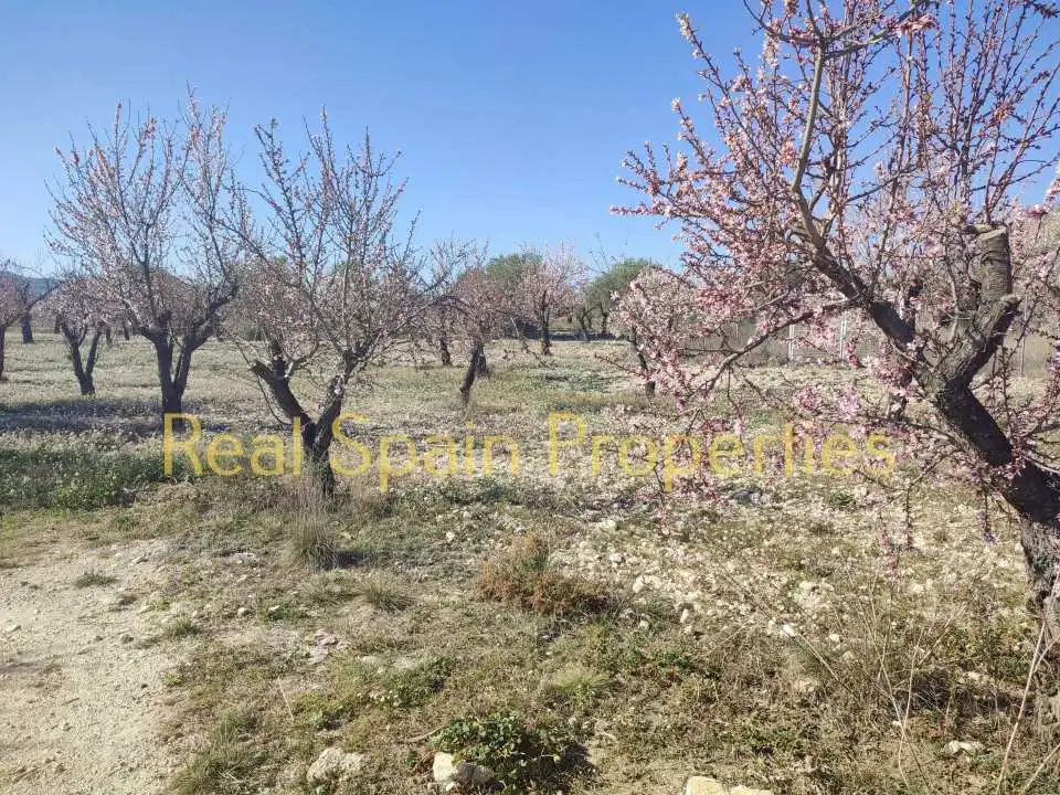 Terrenos y solares en venta en Vélez-Blanco, imagen 3
