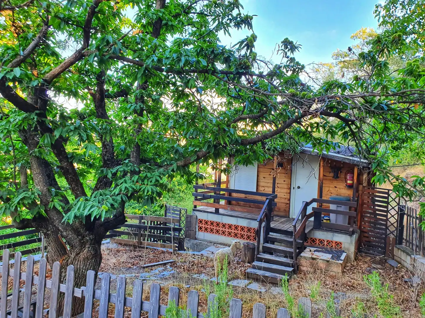 Jardín de Casa o chalet en venta en Güéjar Sierra con Calefacción, Jardín privado y Terraza