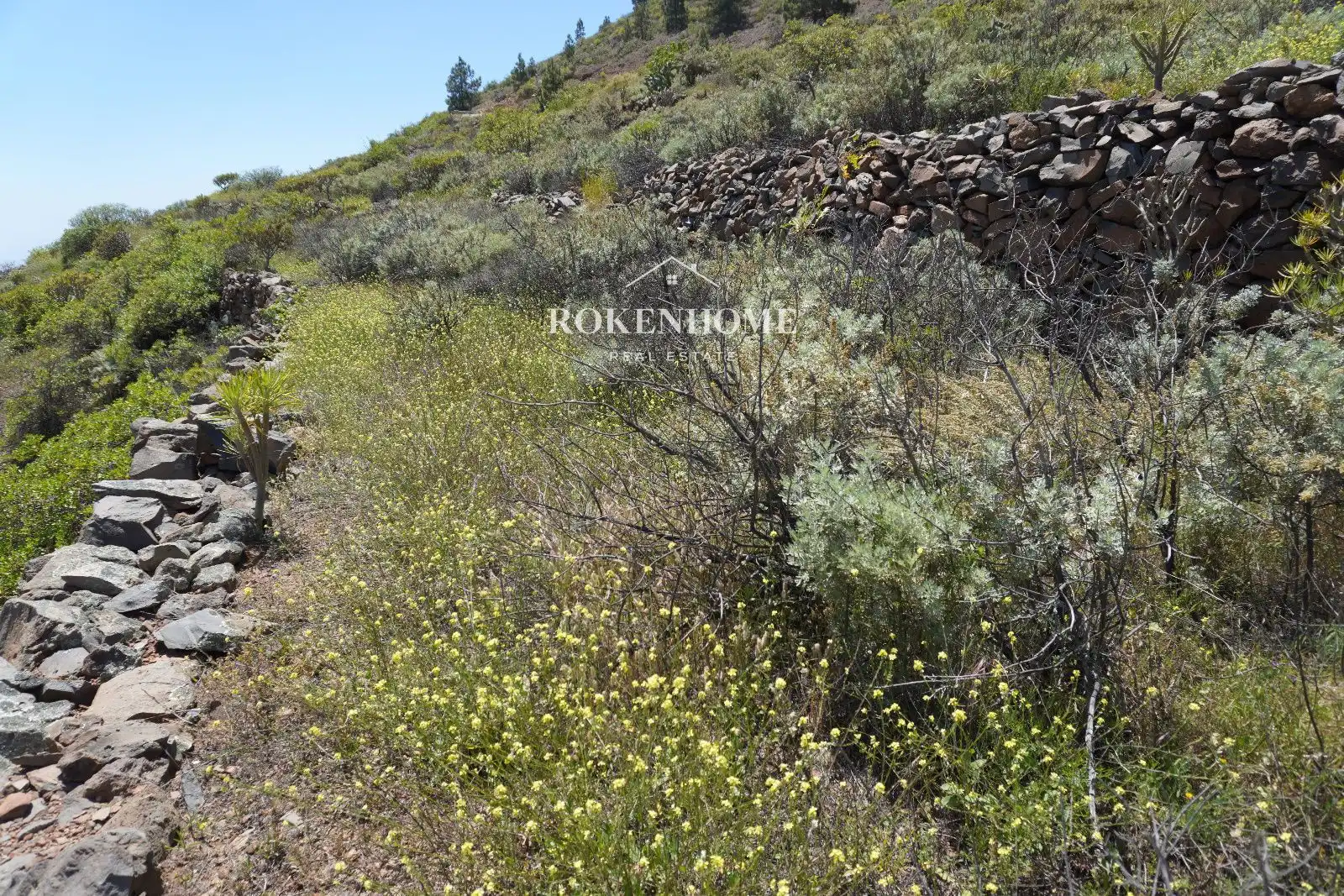 Terreno en venta en Guía de Isora