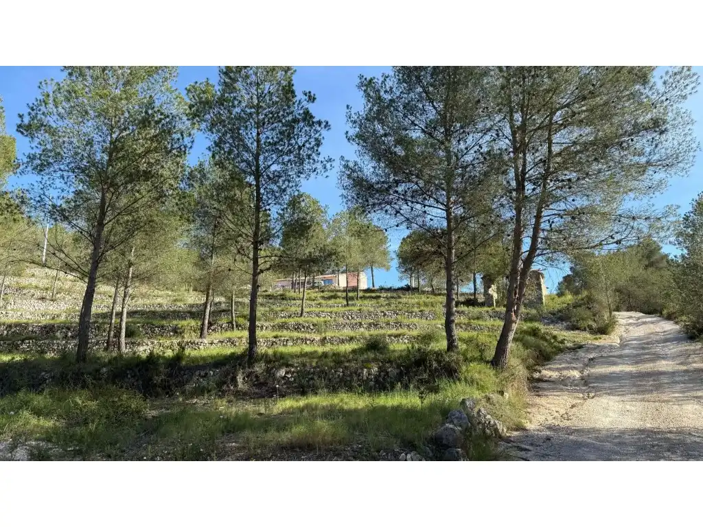 Casa o xalet en venda en Jávea / Xàbia