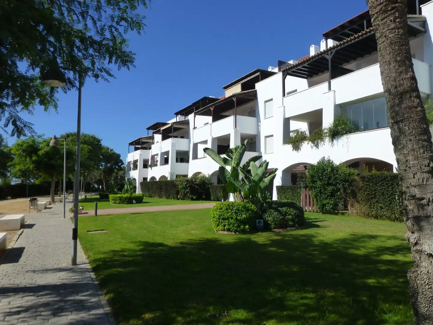 Apartament amb piscina en venda a Avenida Carla de Orleans 4, imagen 13