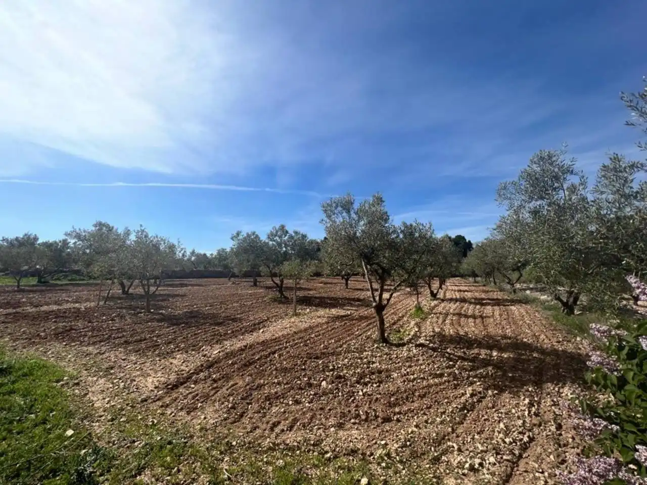Chalet con jardín en venta en Calle Poligono, imagen 66