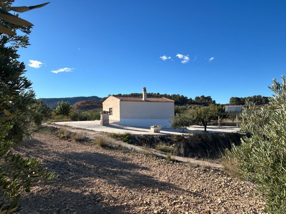 Exterior view of Country house for sale in Jumilla