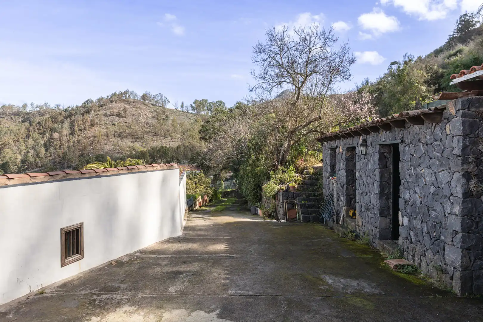 Vista exterior de Finca rústica en venta en Tegueste con Jardín privado, Terraza y Horno