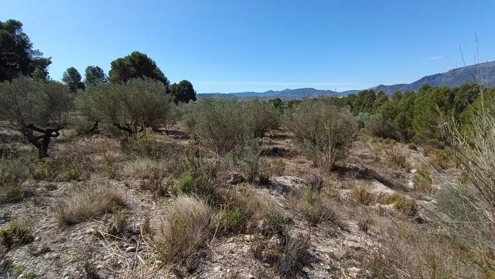 Residencial en venta en Gaianes