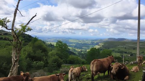 Foto 4 de Casa o xalet de lloguer a Munte - Bo Monte-calzadillas, Riotuerto, Cantabria