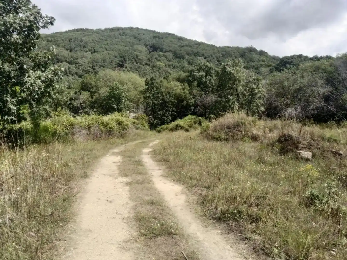 Finca rústica en venda en Talaveruela de la Vera