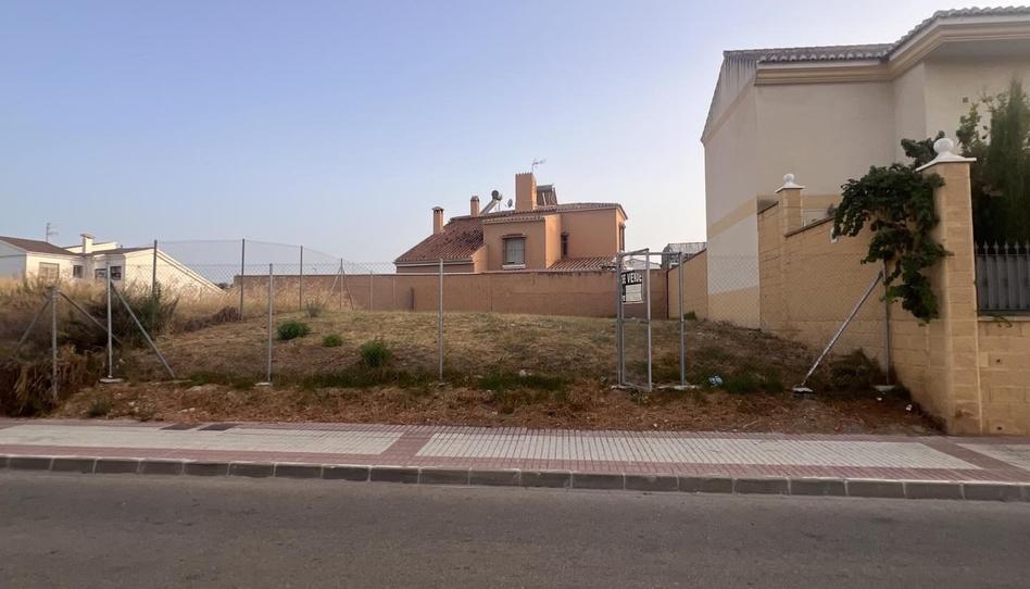 Foto 1 de Residencial en venda a Calle Laureano Martin Garcia, 4, El Limonar, Málaga