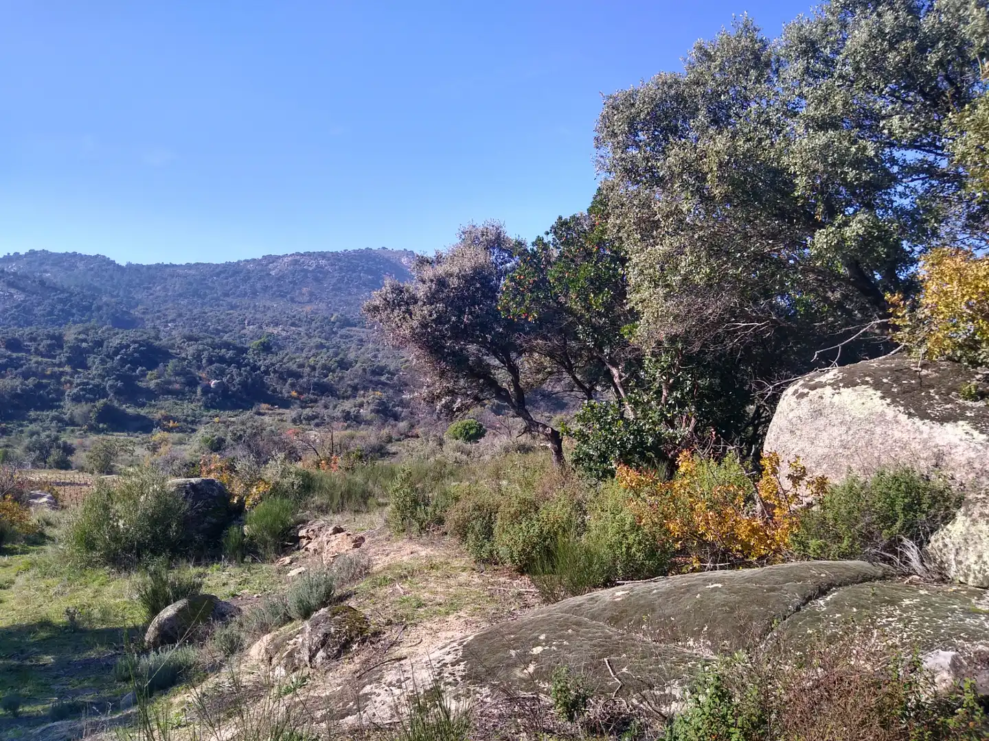 Rural land for sale in Cadalso de los Vidrios, imagen 8