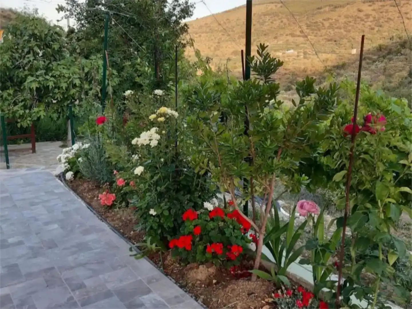 Terrassa de Finca rústica en venda en Abrucena