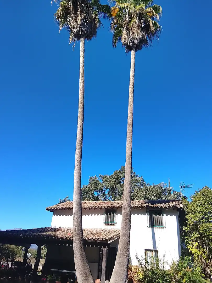 Haus mit Garten zum Verkauf in Madrigal de la Vera, imagen 122