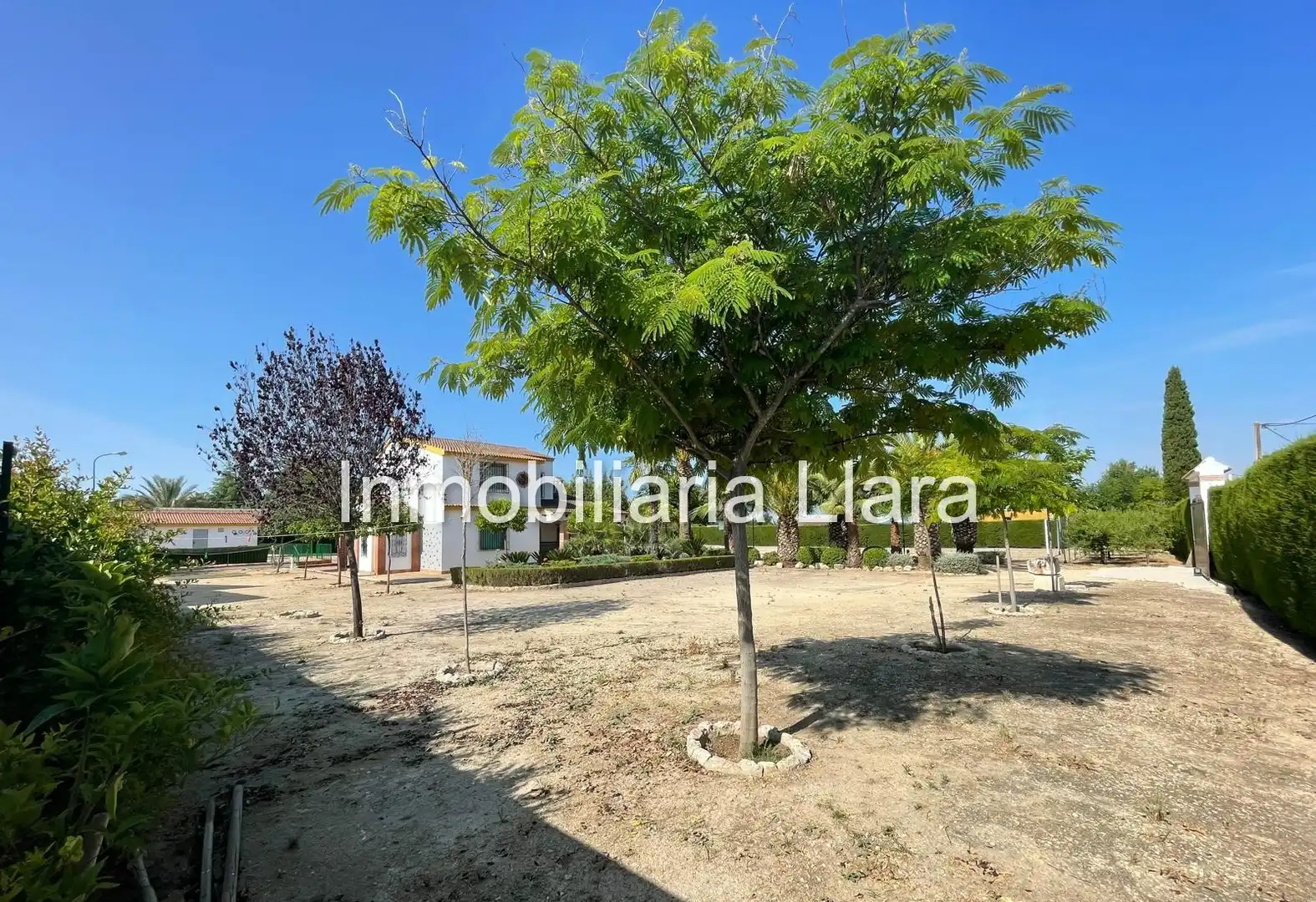 Casa o chalet en venta en Lucena con Aire acondicionado, Jardín privado y Piscina