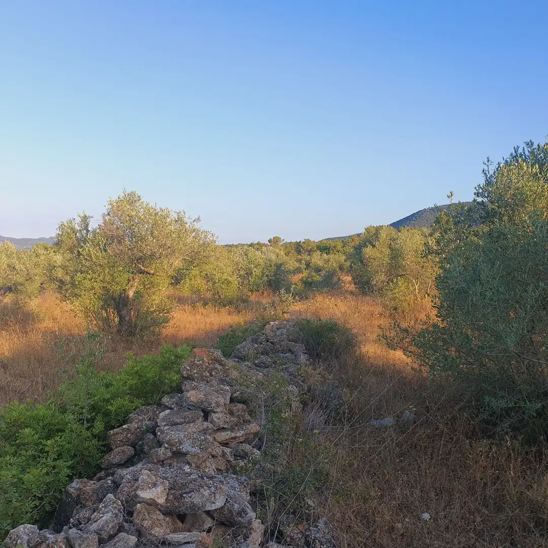 House for sale in Rasquera, imagen 4