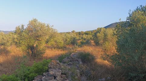 Foto 4 de Casa o chalet en venta en Rasquera, Tarragona