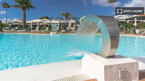 Photo 3 of Study to share in Maspalomas - Meloneras, Las Palmas