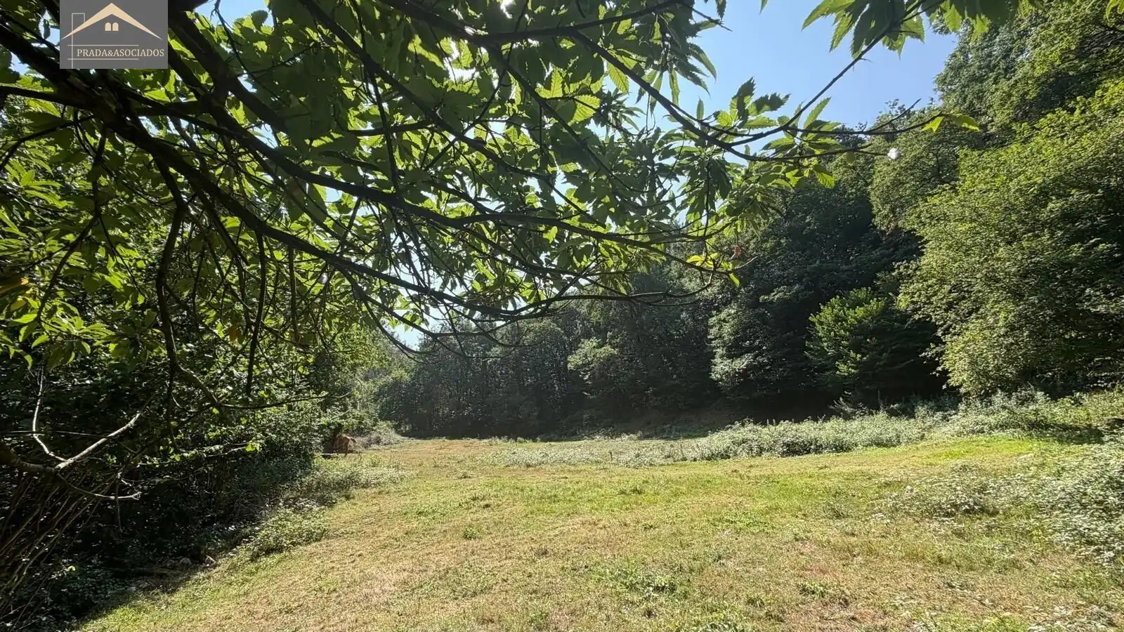 Residential land for sale in Ruente, imagen 9