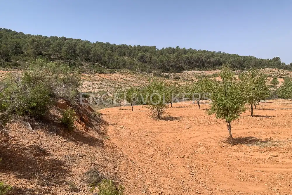 Lands and plots for sale in Requena, imagen 35