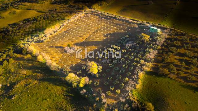Terreno en Venta en Villanueva de la Concepción