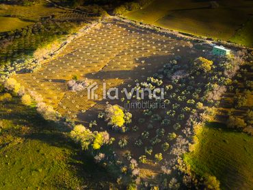 Terreno rustico in vendita a Villanueva de la Concepción