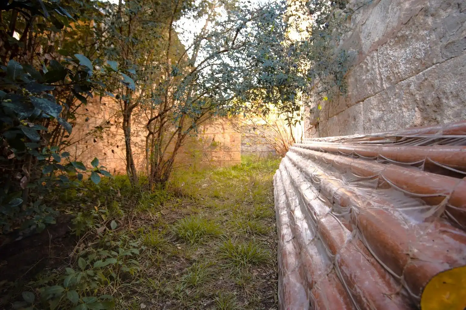 Maison avec jardin à vendre à Calle PARE ALZINA, imagen 19