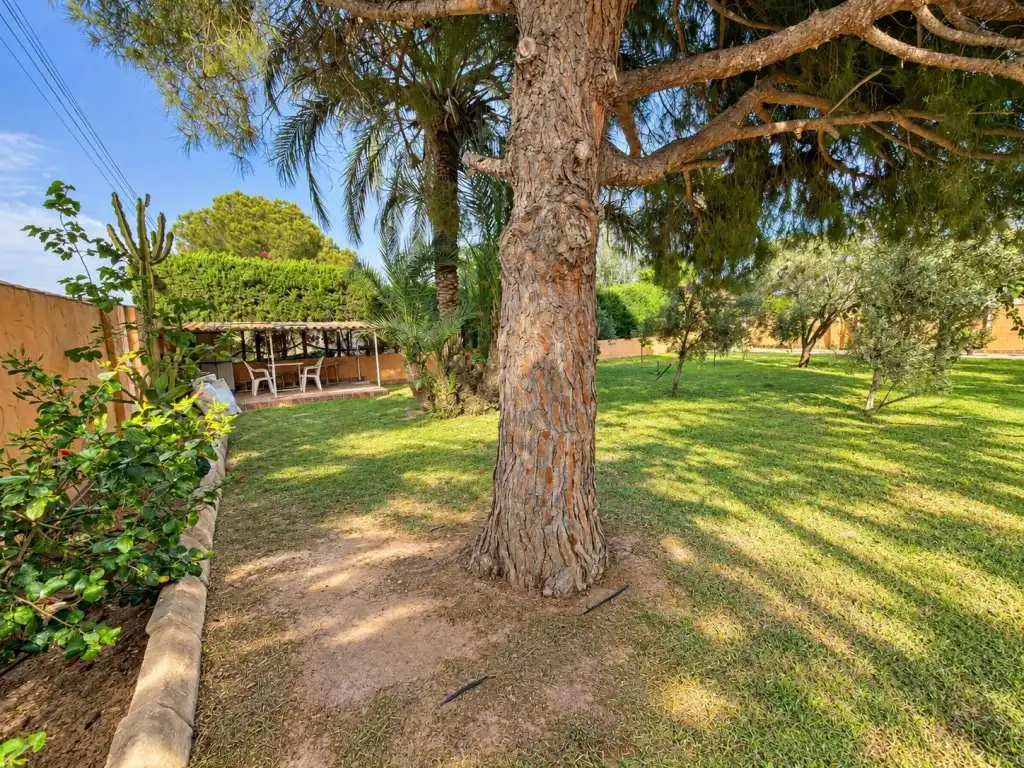 Jardí de Casa o xalet en venda en Cartagena