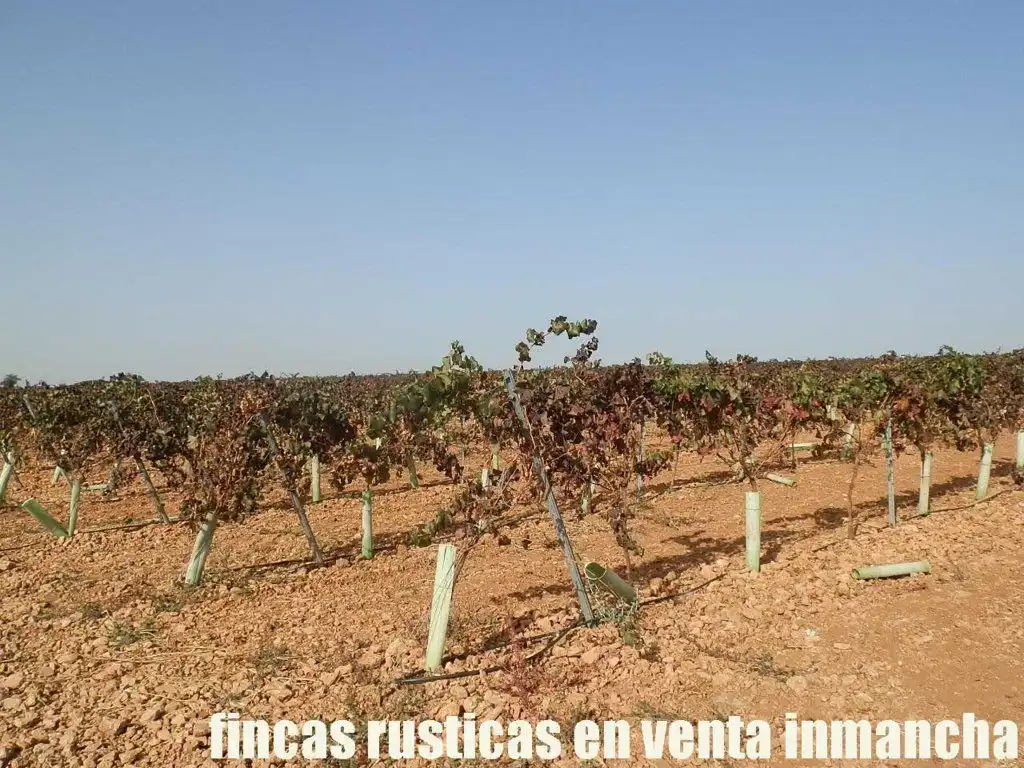 Terrenys i solars en venda a Almagro, imagen 17