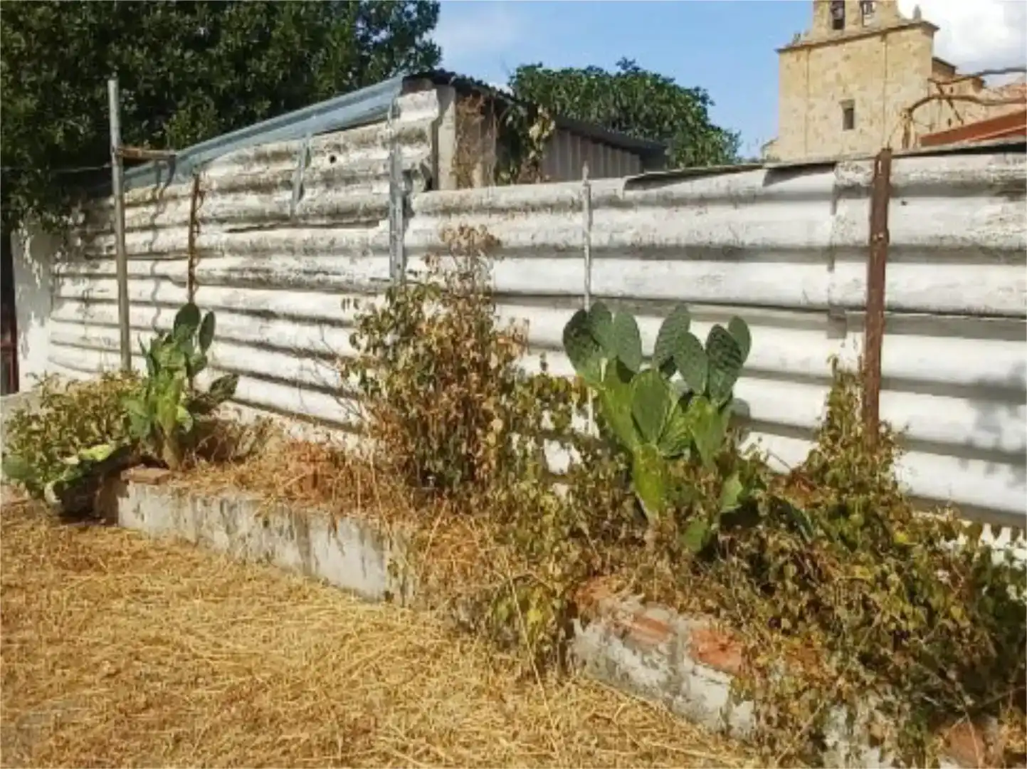 Finca rústica en venda en Casaseca de las Chanas amb Jardí privat