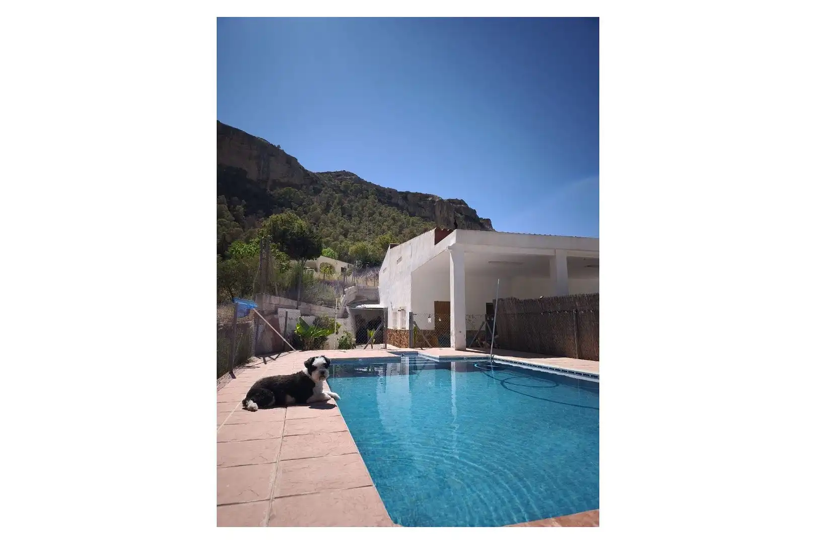 Piscina de Finca rústica en venda en Crevillent