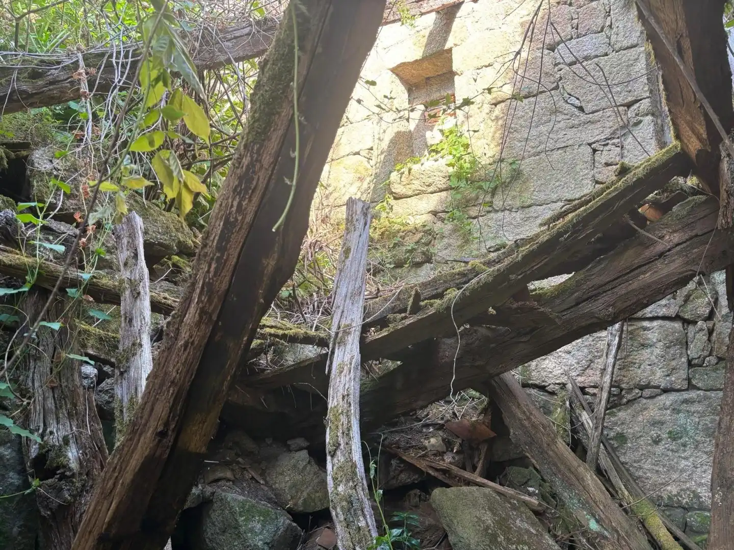 Casa rústica en venda a Salvaterra de Miño, imagen 30