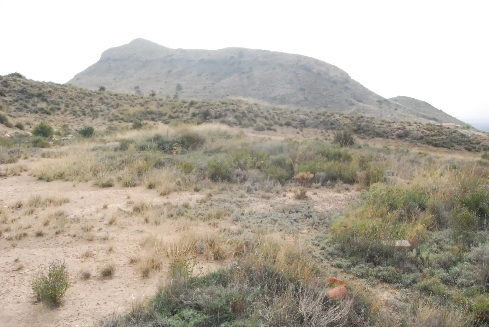 Terreno rustico in vendita a Valle del Sol, imagen 9