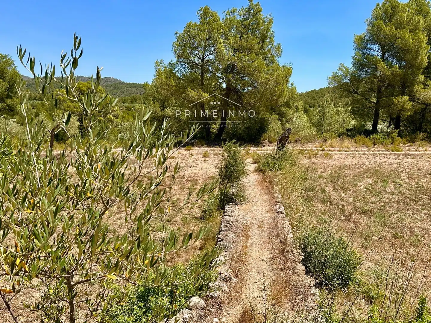 Finca rústica en venda en El Perelló amb Terrassa, Traster i Piscina