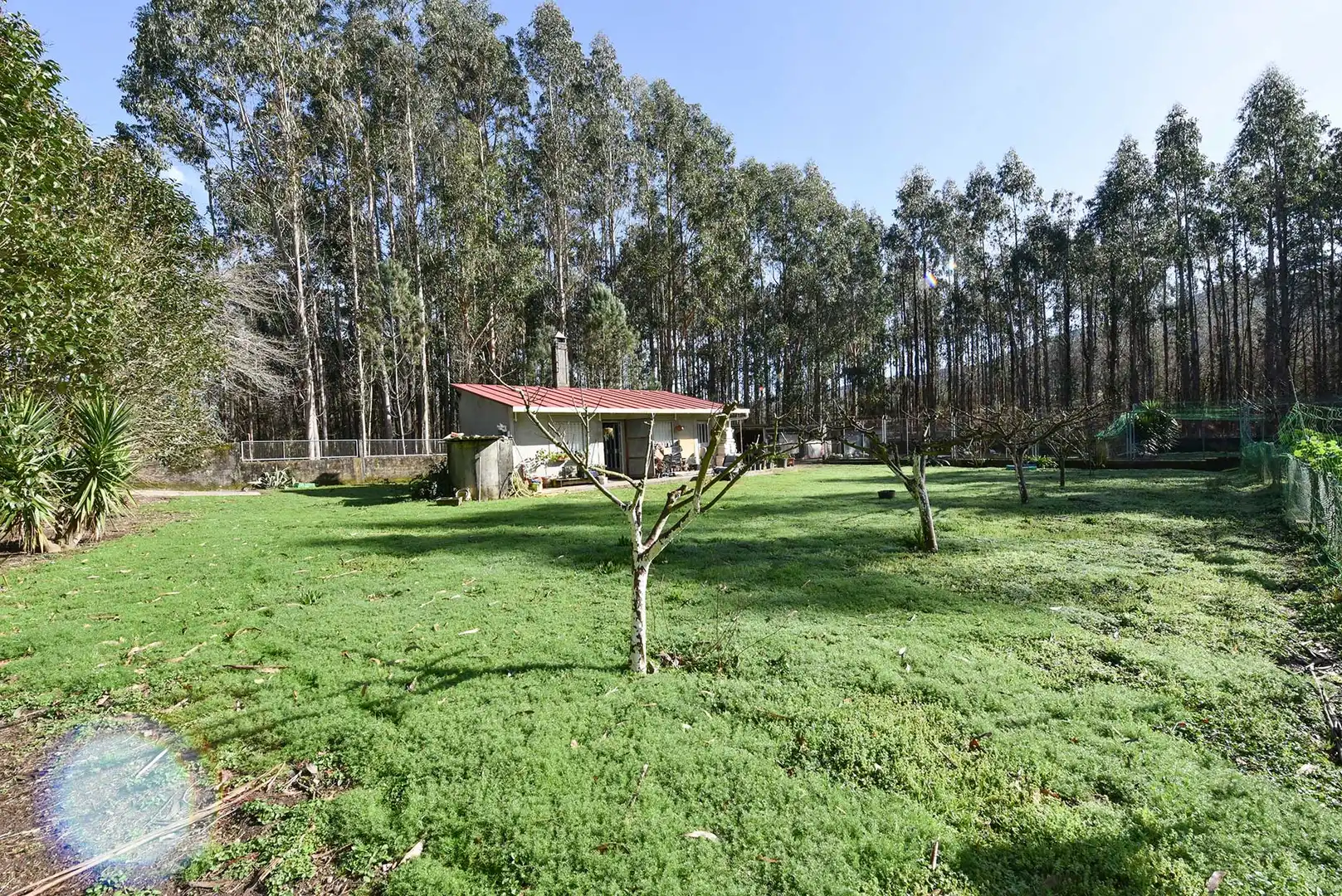 Jardín de Casa o chalet en venta en Cuntis con Jardín privado