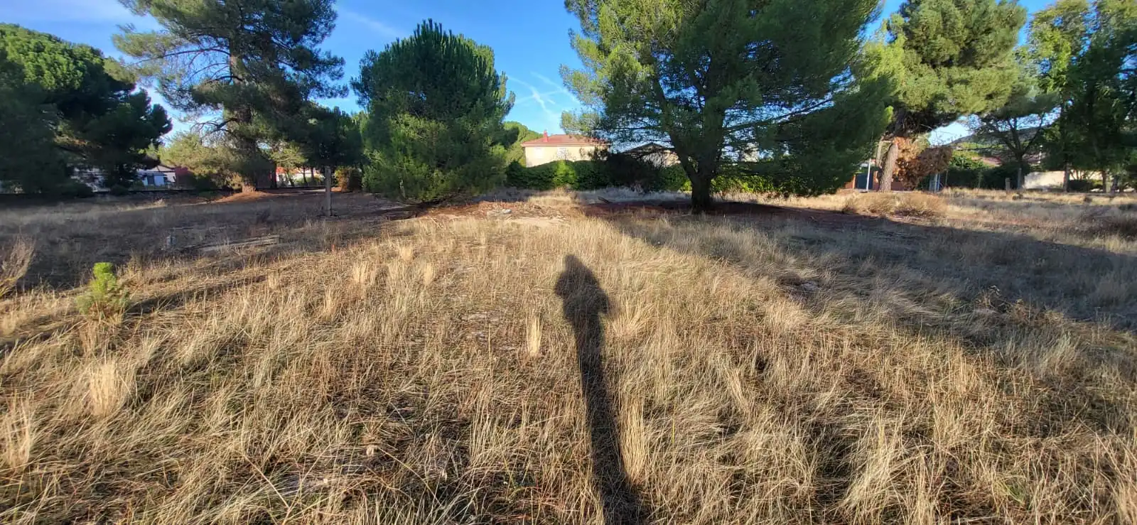 Terreno residenziale in vendita a Calle Santinos 8, imagen 7