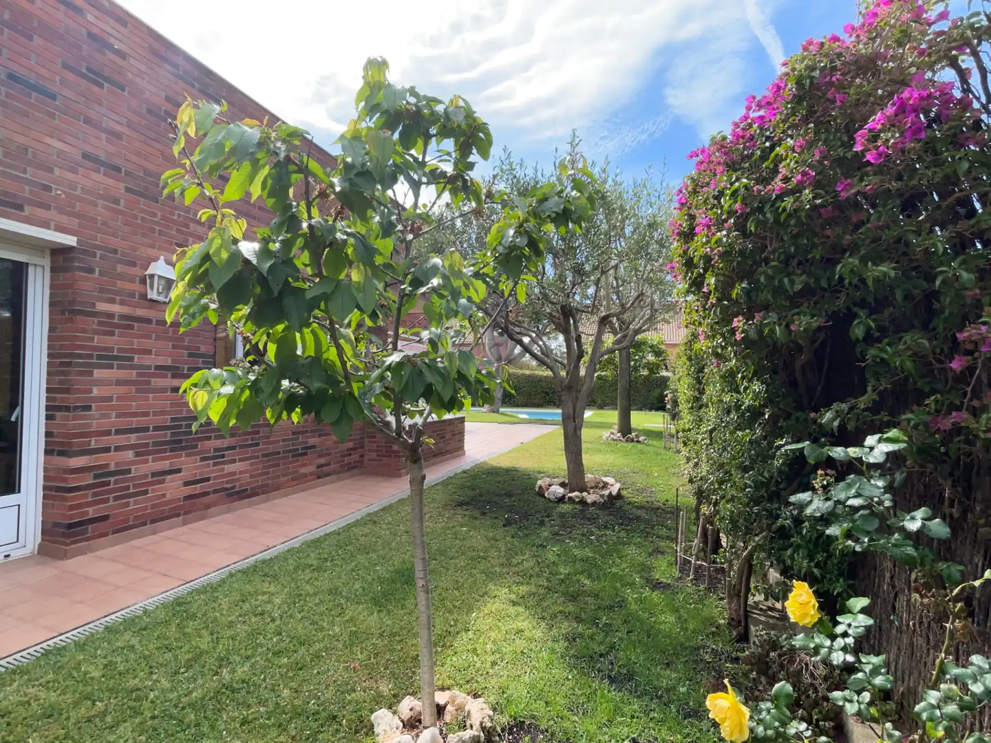 Jardí de Casa o xalet en venda en Sant Vicenç de Montalt amb Aire condicionat, Calefacció i Jardí privat