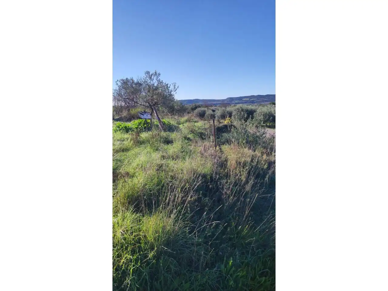 Residencial en venta en El Grado