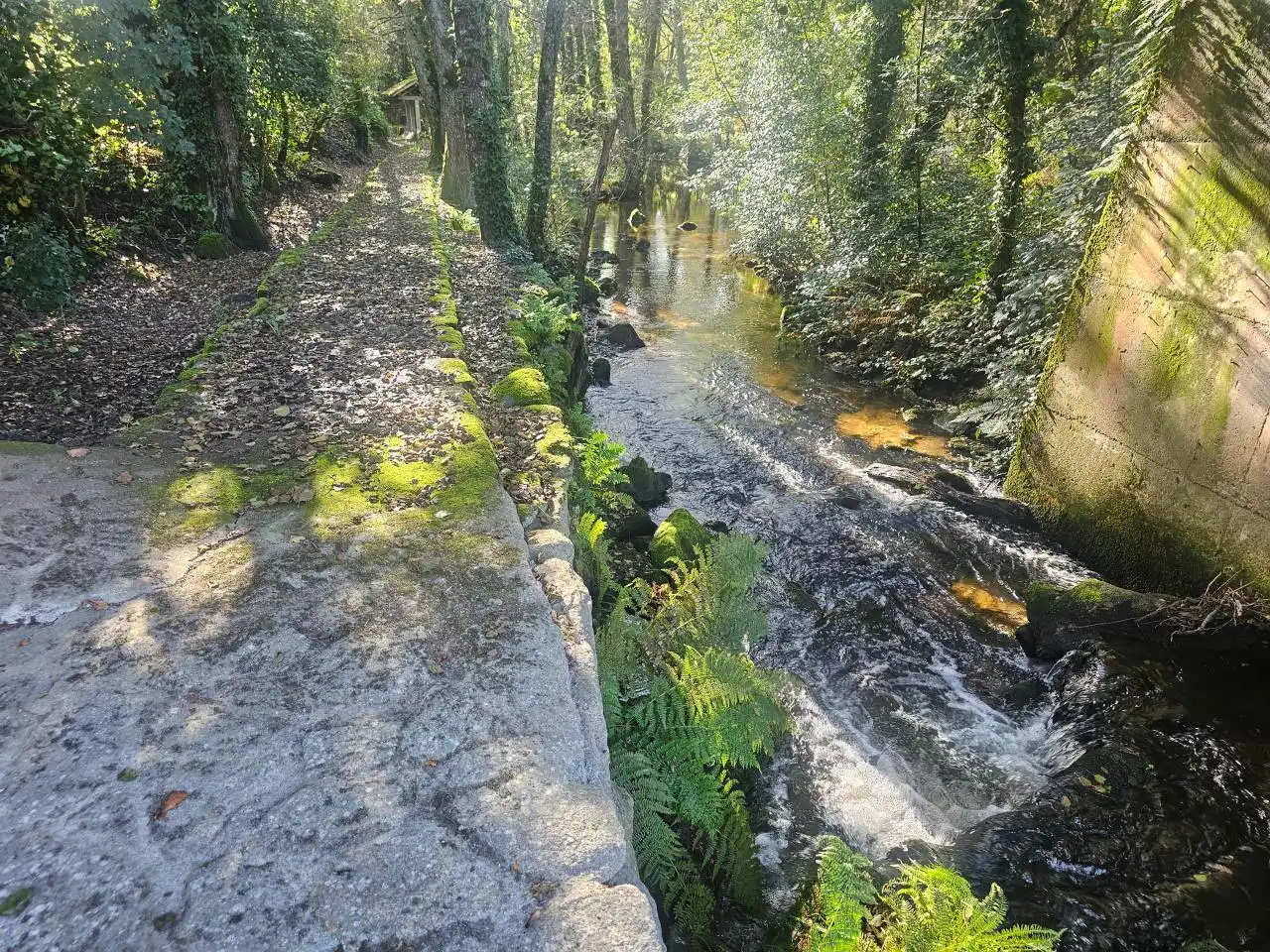 Vista exterior de Casa o xalet en venda en Esgos amb Jardí privat