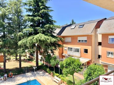 Pis amb piscina en venda a Avenida Castillo Olivares 6E