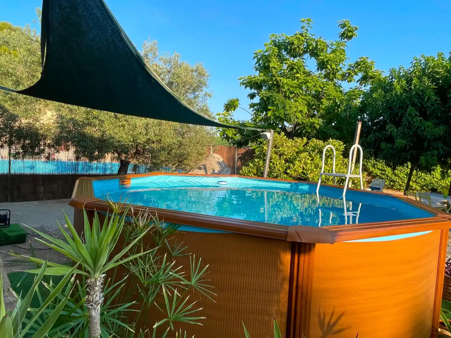Swimming pool of Houses for rent in Castalla  with Heating, Private garden and Terrace