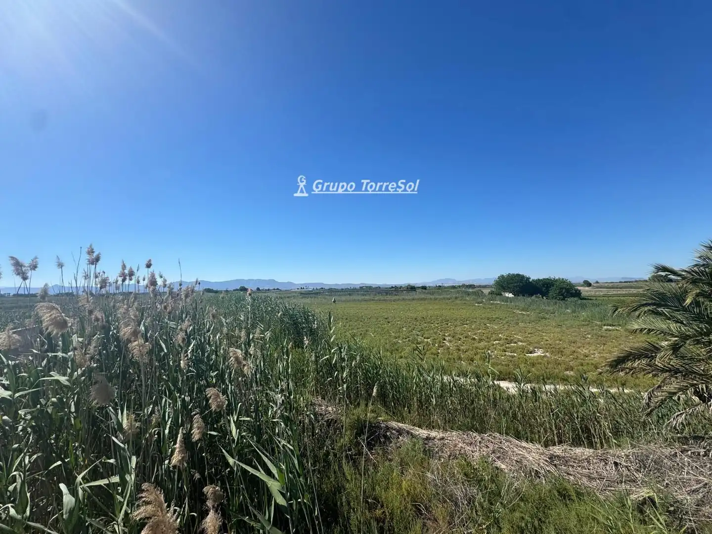 Terreno en venta en Elche / Elx