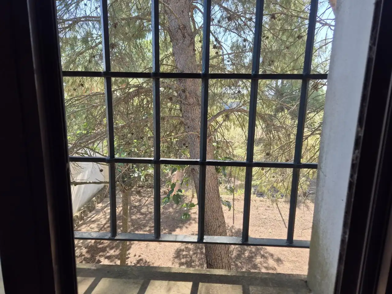 Garden of Country homes for sale in Campo de Criptana  with Private garden, Terrace and Swimming Pool