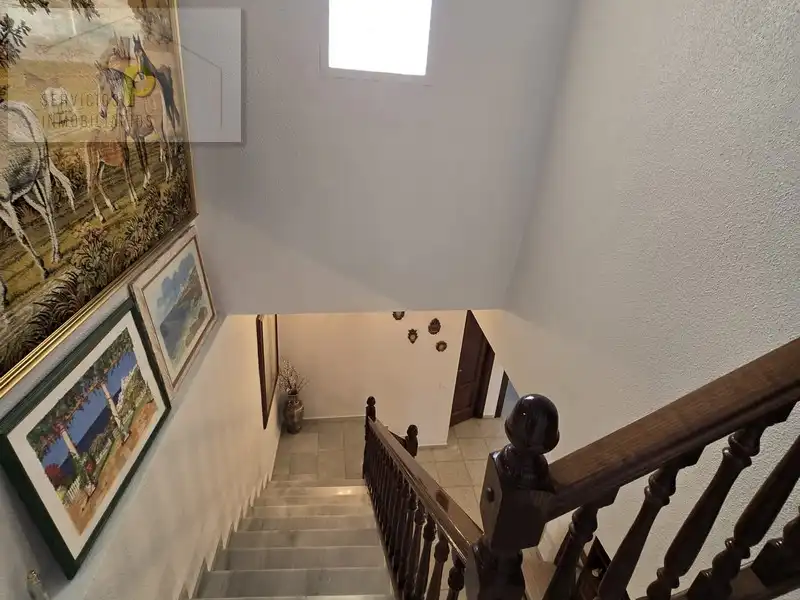 Casa o xalet en venda en Elche / Elx amb Aire condicionat, Jardí privat i Terrassa