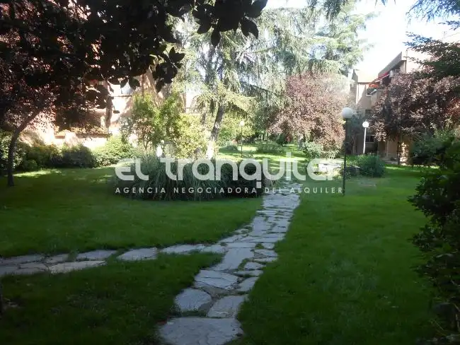 Wohnung mit Pool zur Miete in Avenida Paralela, imagen 16