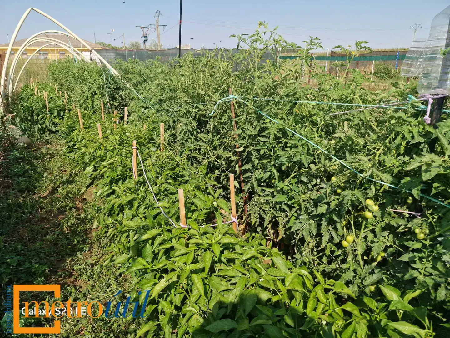 Land for sale in Babilafuente