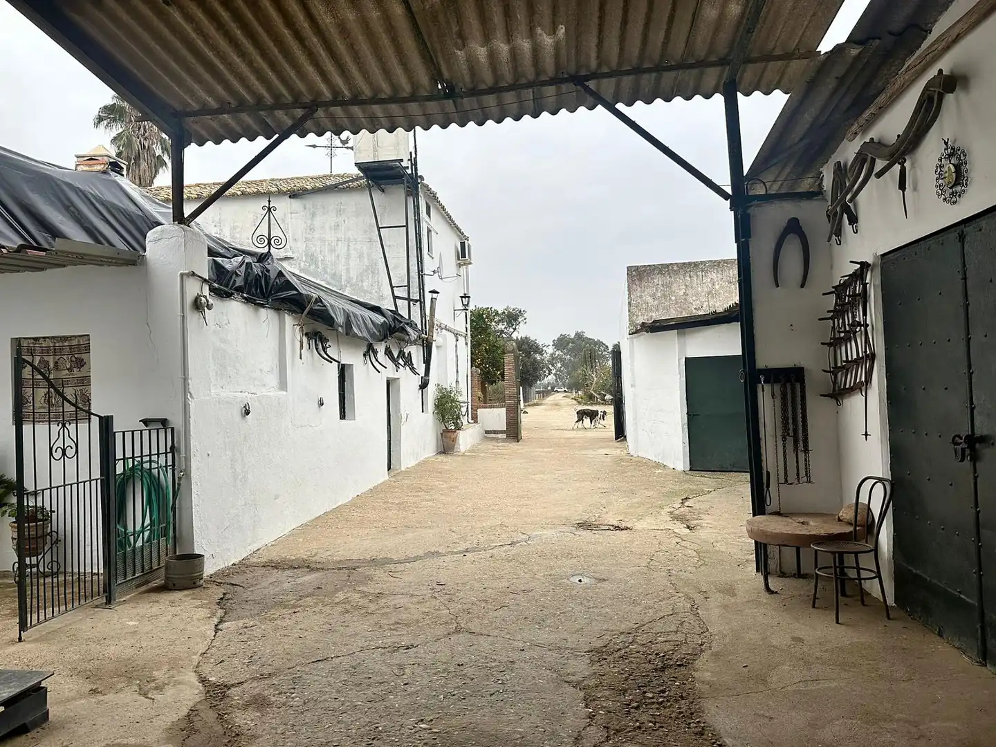 Finca rústica en venda a Villarrubia