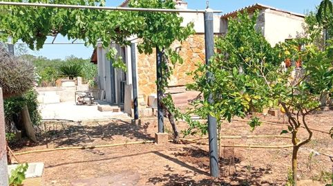 Foto 3 de Casa o chalet en venta en Porreres, Illes Balears