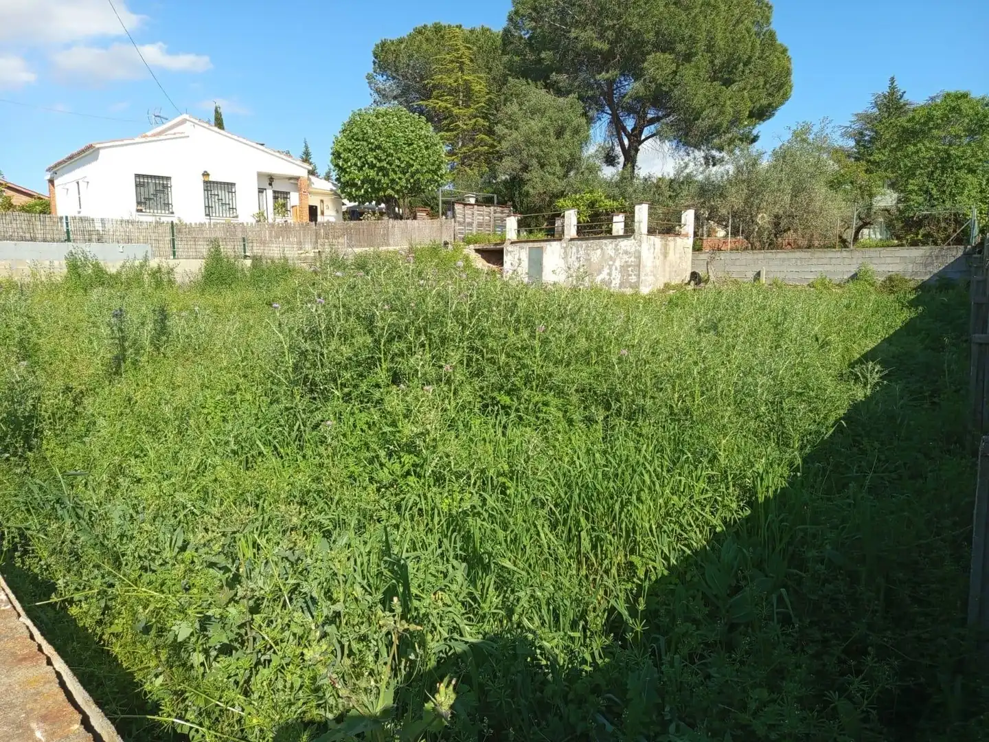 Residential land for sale in Piera, imagen 2
