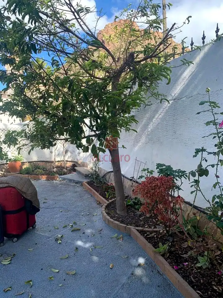 Vista exterior de Casa o chalet en venta en Arona con Jardín privado, Terraza y Piscina